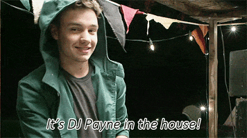 i love this so much liam payne GIF