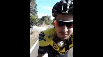 Cat Kitty GIF by Electric Cyclery