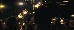 the beach bum fireworks GIF by NEON