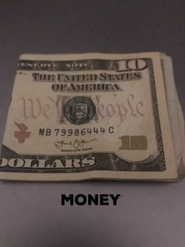 Money GIF