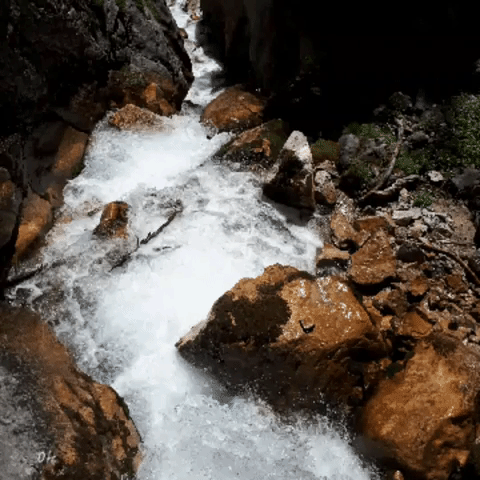 Little River Water GIF