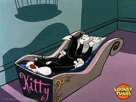 Sad Wake Up GIF by Looney Tunes