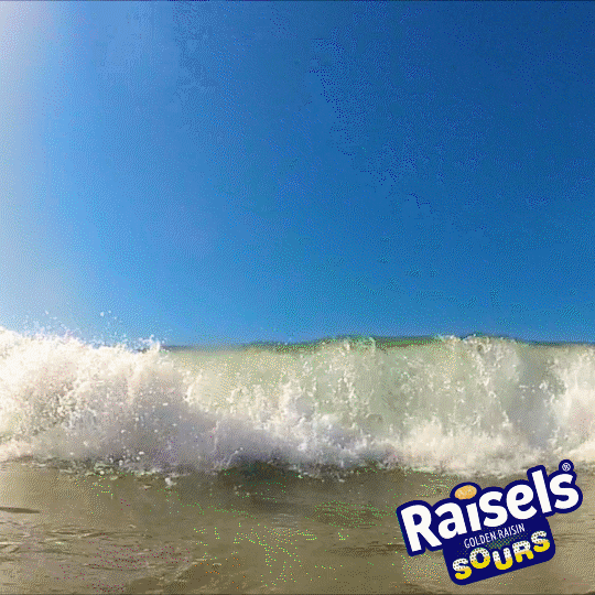 Happy Orange GIF by Raisels