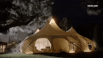 tent camping GIF by MOST EXPENSIVEST