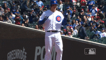 Chicago Cubs Smile GIF by MLB