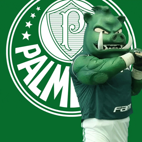 angry guitar GIF by SE Palmeiras