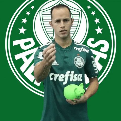 alejandro guerra rico GIF by SE Palmeiras