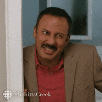 schitts creek flirt GIF by CBC