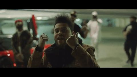 Fuck Friday GIFs - Get the best GIF on GIPHY