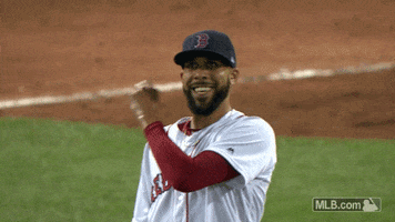 happy boston red sox GIF by MLB