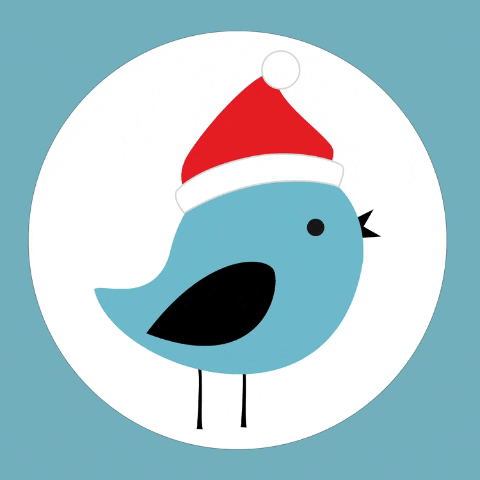 GIF by Morning Bird