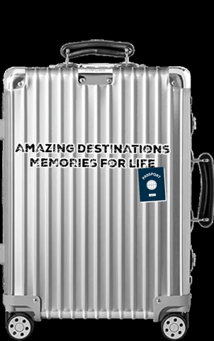 Travel Memories For Life GIF