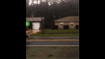 Wind Merica GIF