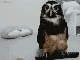 Confused Remote Control GIF