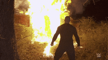 randy orton sport GIF by WWE