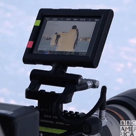 GIF by BBC America