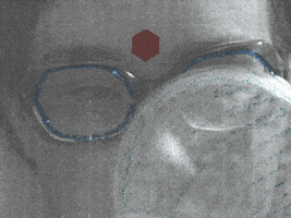 Sound And Vision Girl GIF by Beeld en Geluid