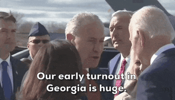 Chuck Schumer Early Voting GIF by GIPHY News
