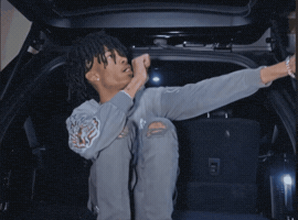 Rex GIF by 9th St Records