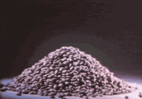 frito lay GIF by Texas Archive of the Moving Image