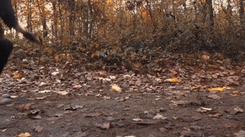 Gravity Falls Ghosts GIF
