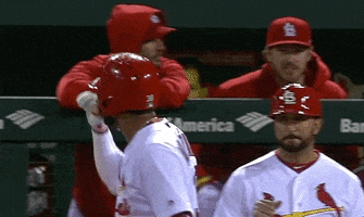 st louis cardinals face GIF by MLB