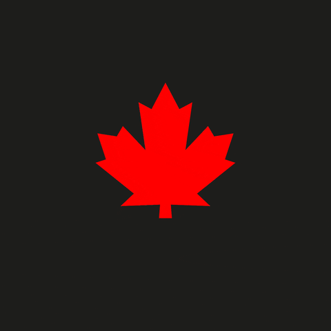 2021 GIF by DSQUARED2