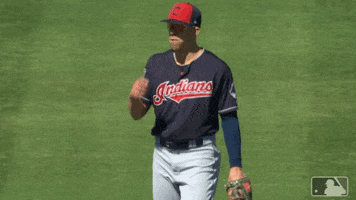 salute bradley GIF by MLB