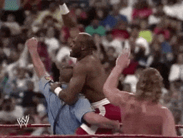 Wrestlemania Viii Wrestling GIF by WWE