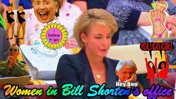 Bill Shorten Lnp GIF