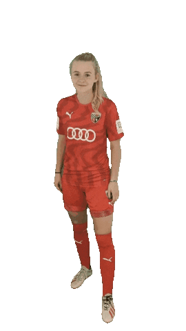 Schanzerinnen Sticker