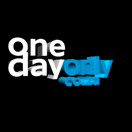 Shopping GIF by OneDayOnly