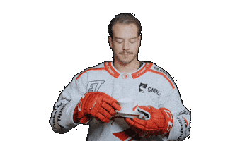 Trinec Sticker by HC Oceláři Třinec