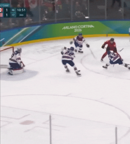 Usa Canada GIF