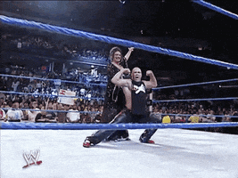 Shawn Michaels Sport GIF by WWE