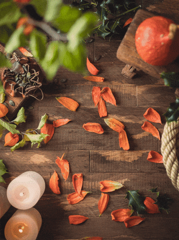 Laumière Gourmet Fruits GIF