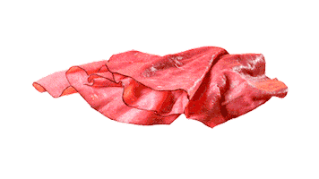 Sandwich Oroweat Sticker by Bimbo Spain