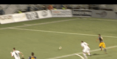 new york red bulls goal GIF by NYRB II