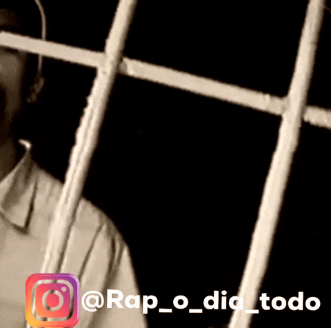 Rapodiatodo GIF