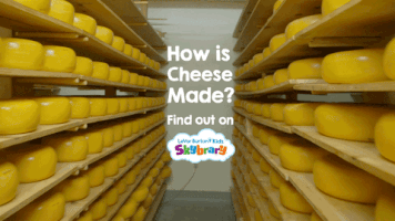 how to cheese GIF by LeVar Burton Kids