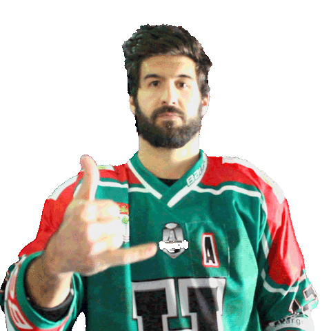 Anglet Hormadi Pays Basque Sticker