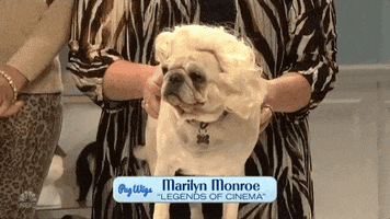 Marilyn Monroe Hair GIF by Saturday Night Live