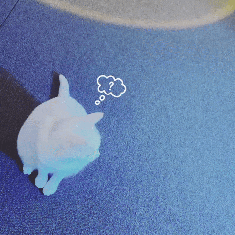 ONE KIRA Media GIF