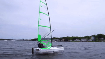 shoreline  GIF