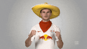 rb leipzig GIF by Bundesliga