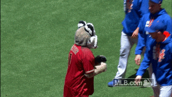 push over new york mets GIF by MLB