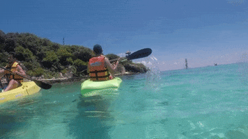 kayak garrafon park GIF by Dolphin Discovery
