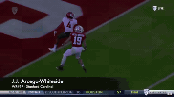 Jj Arcega-Whiteside Stanford GIF