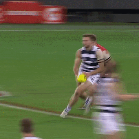 melbourne football club tackle GIF by Melbournefc