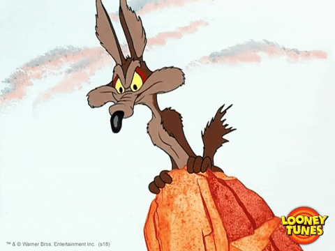 Wile E Coyote Wtf GIF by Looney Tunes - Find & Share on GIPHY